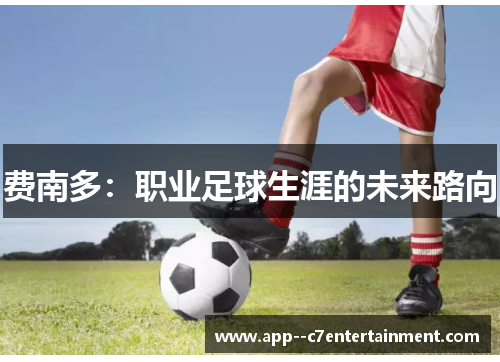 费南多：职业足球生涯的未来路向